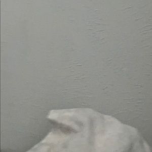 Meet your Posher, Dayanie